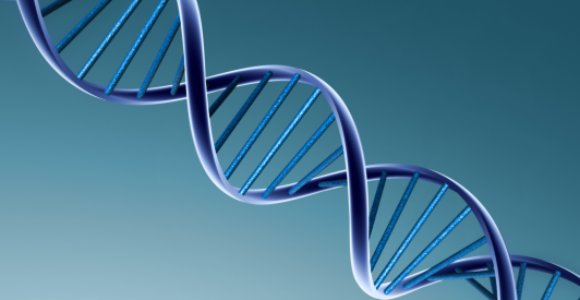 What Is Epigenetics?